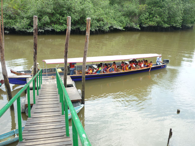 Covered Canoe Churute Mangroves